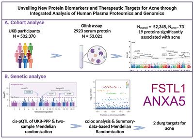 Unveiling new protein biomarkers and therapeutic targets for acne through integrated analysis of human plasma proteomics and genomics